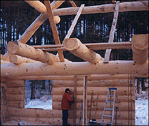Scandinavian Log Home